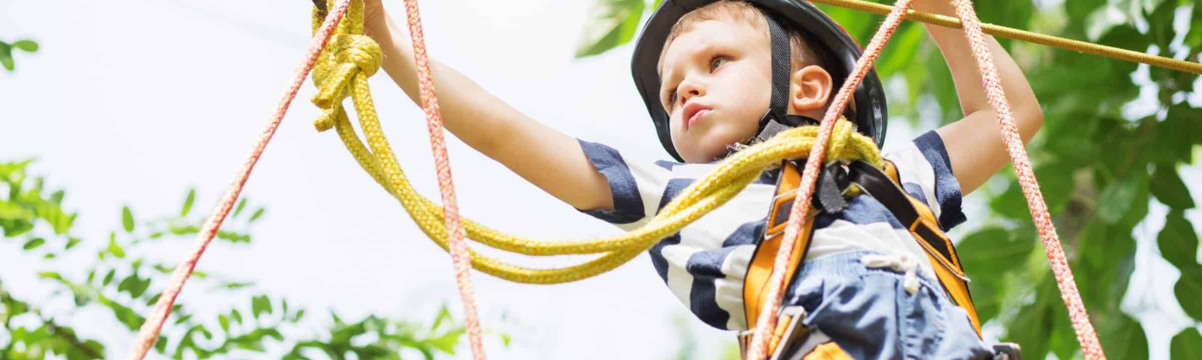 Picture of a boy doing a tree climbing challenge.