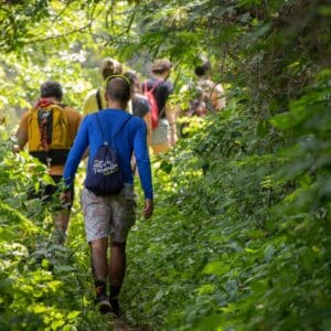 Group of people walking through the woods.